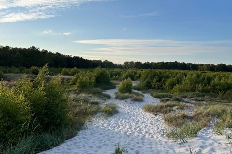 Falsterbo skjutfält - Image 1