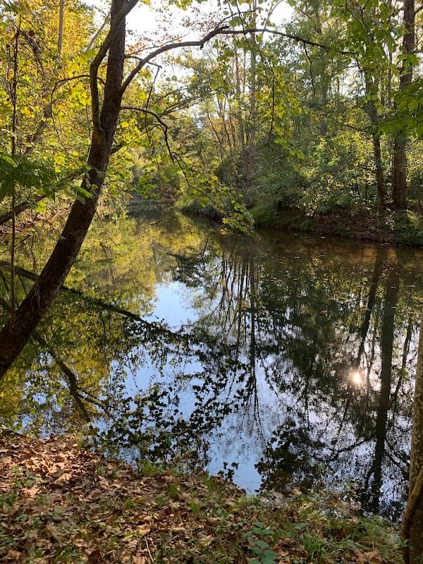 Hollins Mill Dam - Image 3