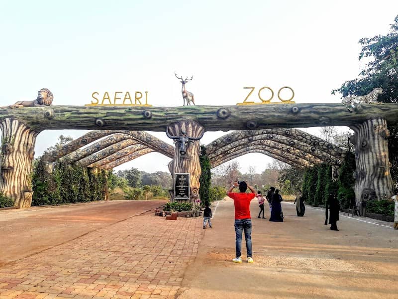 Crocodile Safari - Image 1