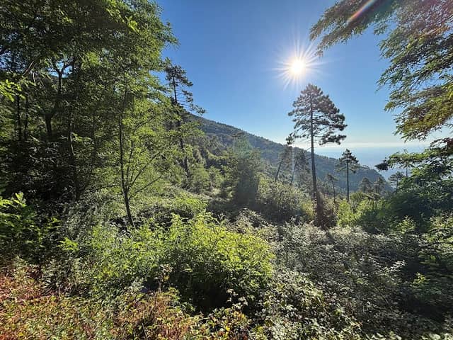 Monte Lombardona - Image 1
