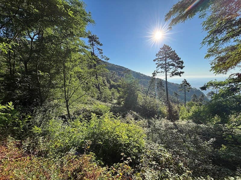 Monte Lombardona - Image 1