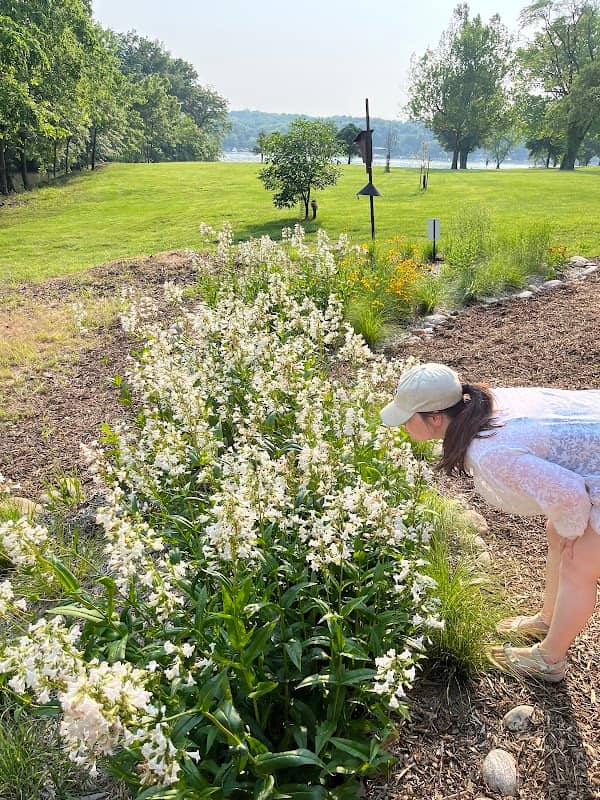 Lake Quivira Pollinator Garden - Image 3