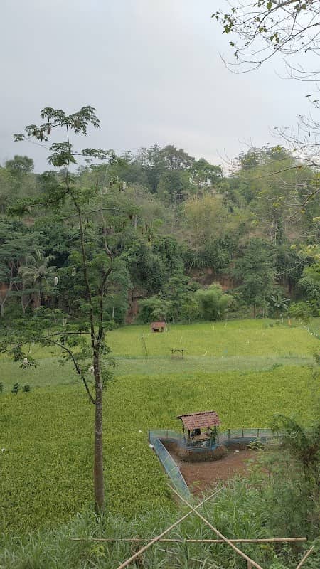 Ngecembeng View - Image 1