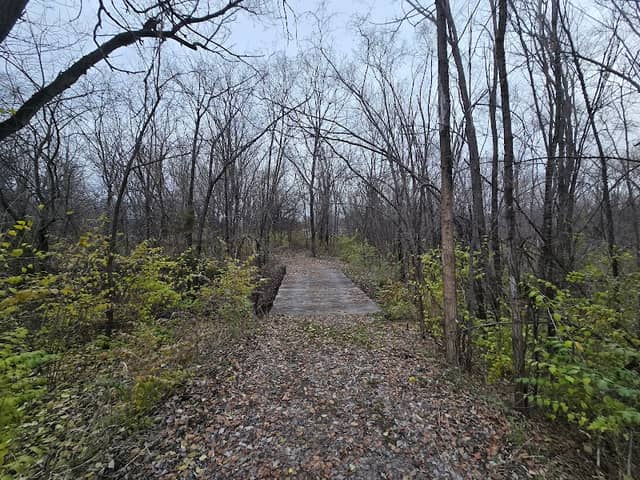 Osage Nature Trail - Image 3
