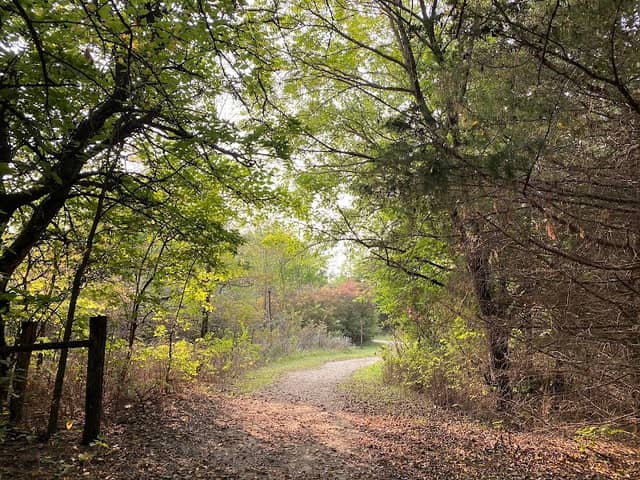 Osage Nature Trail - Image 1