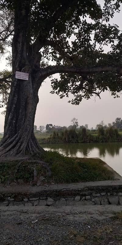 Mahuwari Pokhari - Image 1
