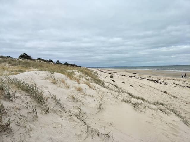 Tennyson Dunes - Image 2