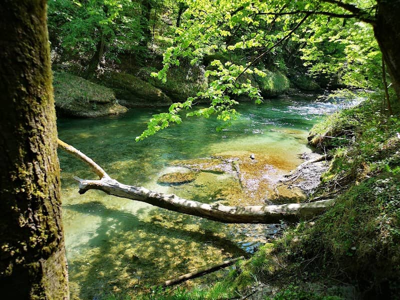 Erlaufschlucht - Image 1