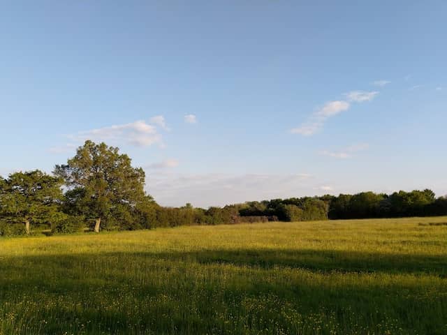 Gavray Wildlife Meadows - Image 1