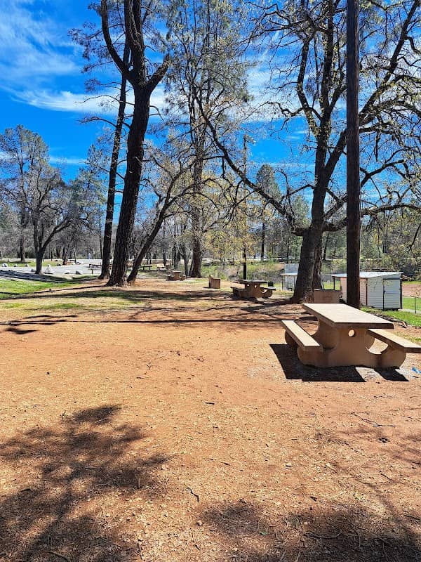 Margaret Polf Park - Image 2