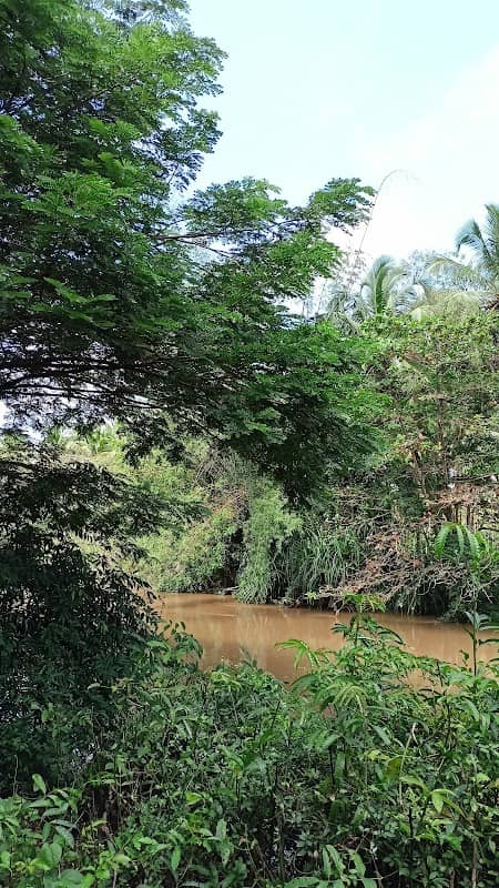 Kambar River Tourism - Image 2