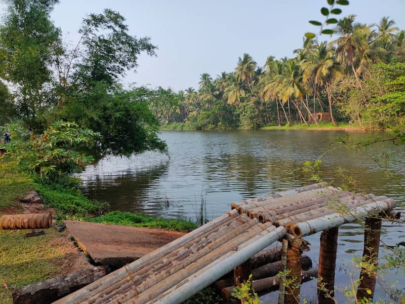 Kambar River Tourism - Image 1
