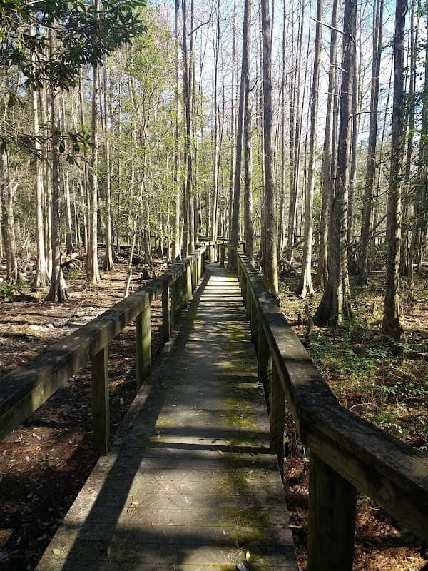 Chinsegut Wildlife Trail - Image 2