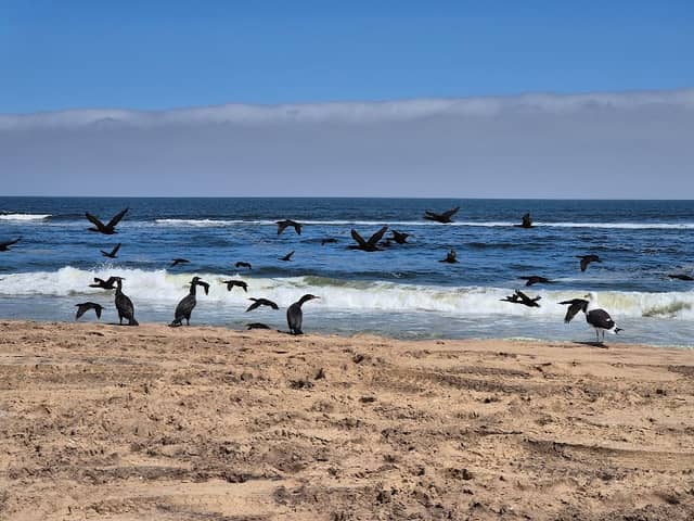 Shifting Sands Tours and Safaris - Image 2