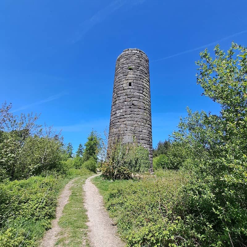 Portlaw Wood - Image 1