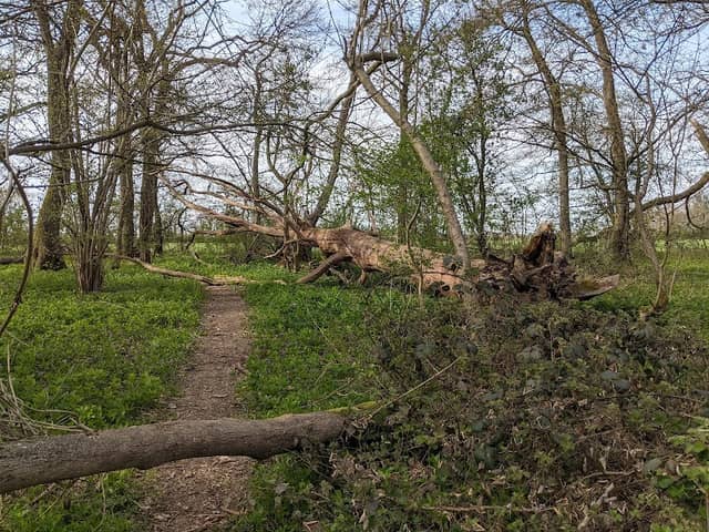 West Wood, Little Sampford - Image 1