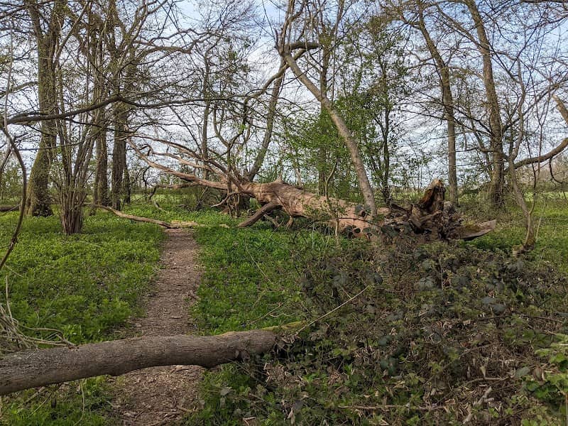 West Wood, Little Sampford - Image 1