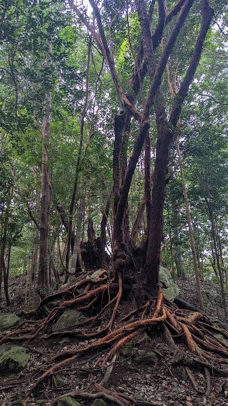 Bukit Changkat Asa - Image 1