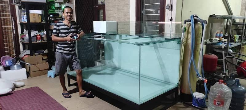 El aquarium - Image 1