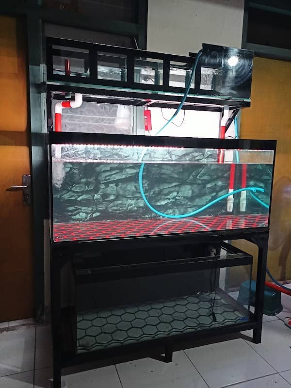 El aquarium - Image 2