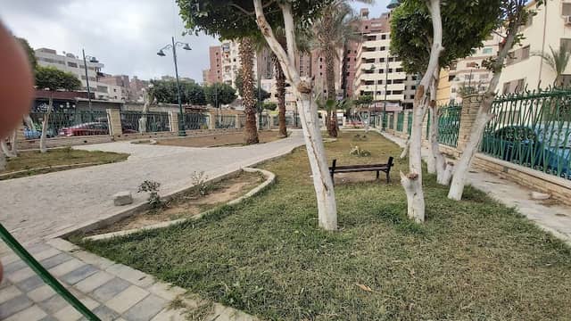 Virgin Mary’s Tree Garden - حديقة شجرة مريم - Image 1