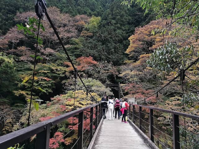 Hatonosu Canyon - Image 3