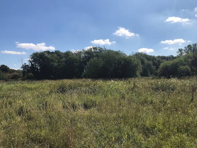 Wensum Local Nature Reserve - Image 2