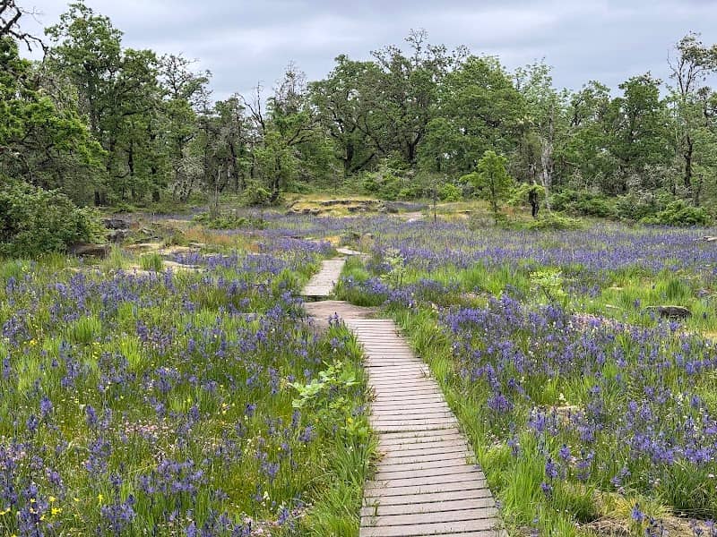 Camassia Nature Preserve - Image 1