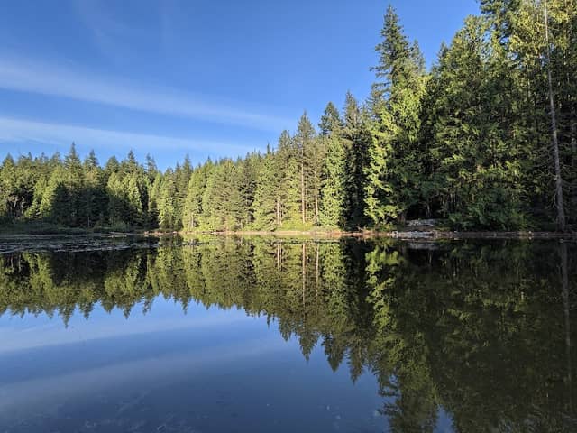 Bear Mountain Park - Image 1