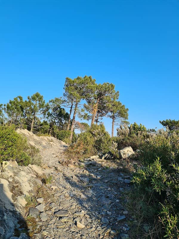 Monte Perocchio - Image 2