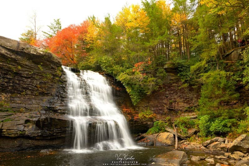 Swallow Falls State Park - Image 1