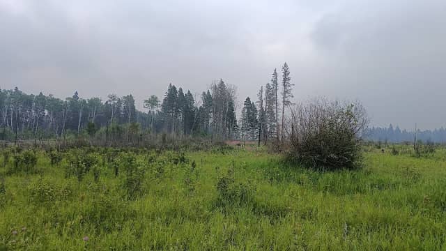 Central Trail/Strathclair Trailhead - Image 1