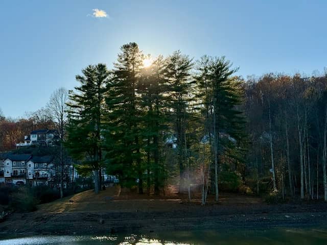 Lion's Point Park - Image 1