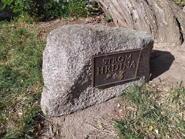 Strom hrdina - Image 2