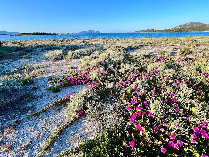Laguna Murta Maria - Image 1