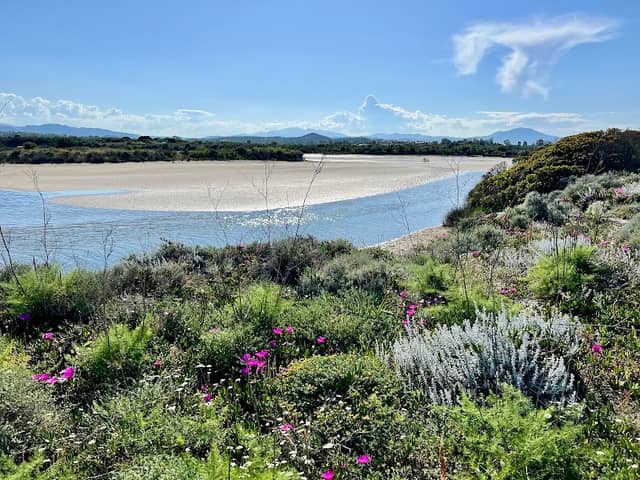 Laguna Murta Maria - Image 2