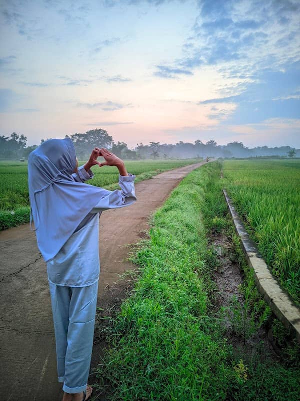 Area CFD Sawah - Image 2