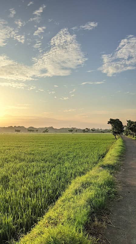 Area CFD Sawah - Image 1
