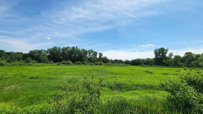 Pike Marsh - Image 1