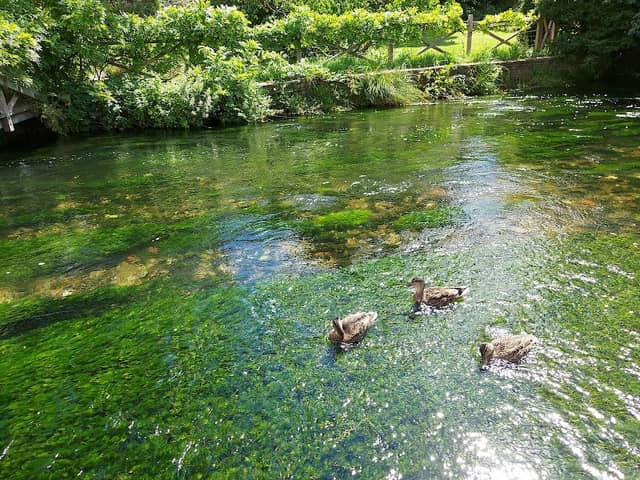The Weirs - Image 2