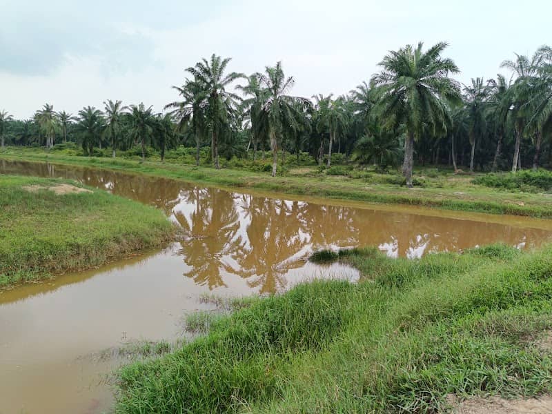 Sungai Cabang Tiga Kelanang - Image 1