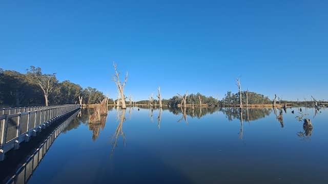 Boardwalk over Lake Mulwala - Image 2