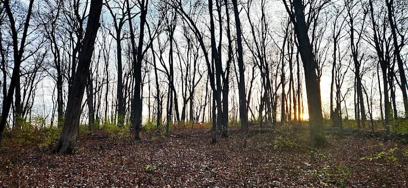 Schoenmaker Woods - Image 1