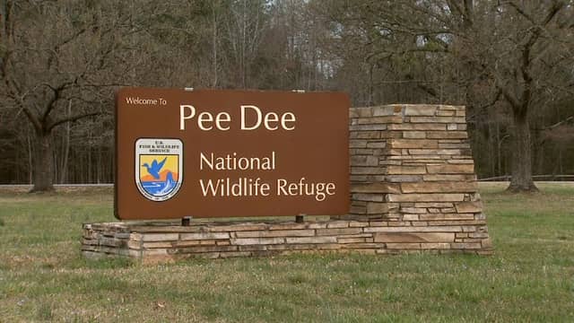 Pee Dee National Wildlife Refuge - Image 1
