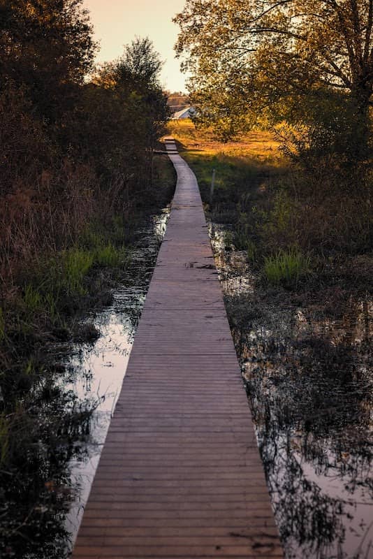 Pee Dee National Wildlife Refuge - Image 2