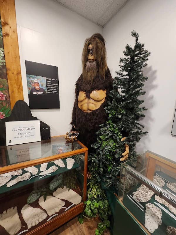 The West Virginia Bigfoot Museum - Image 3