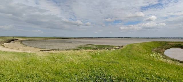 Swale Viewing Screen - Image 2