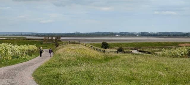 Swale Viewing Screen - Image 1