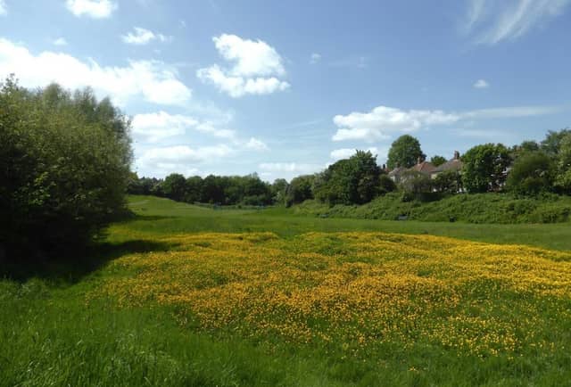 Daisy Dip - Image 2