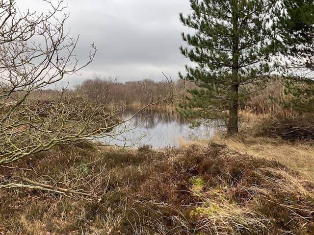 Observatiehut Zwanenmeer - Image 1